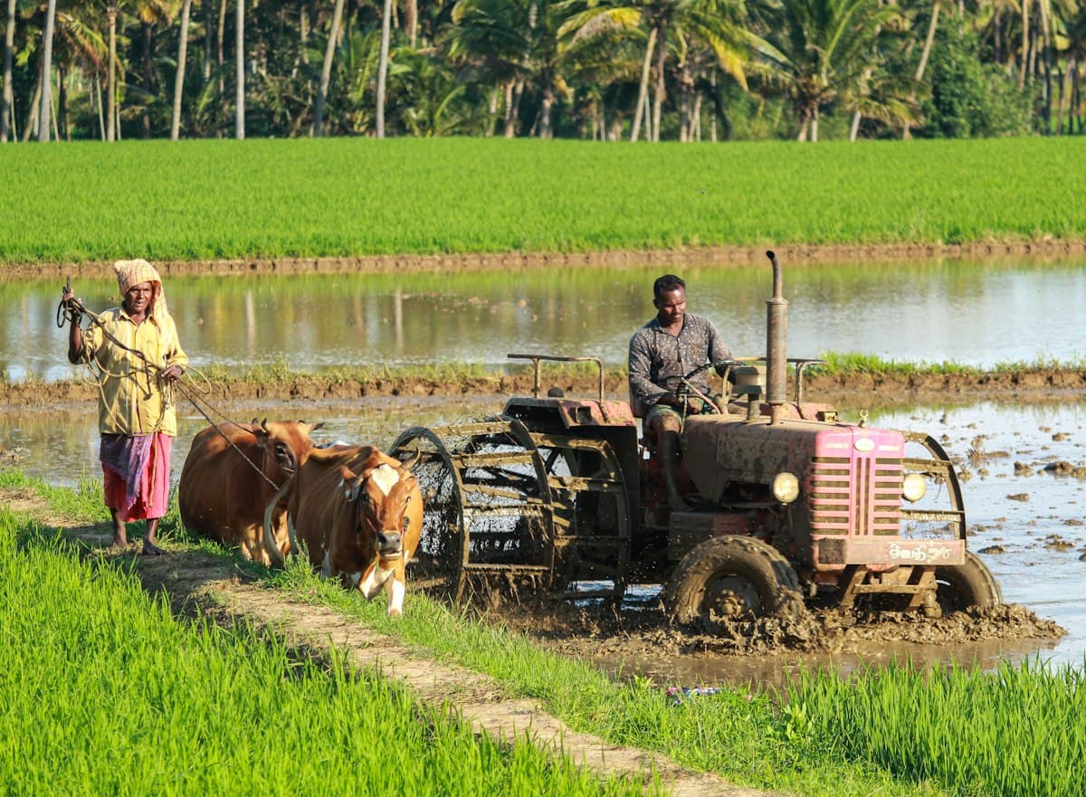 High-Grown Ceylon: Tea Culture and Bungalow Life in Hatton