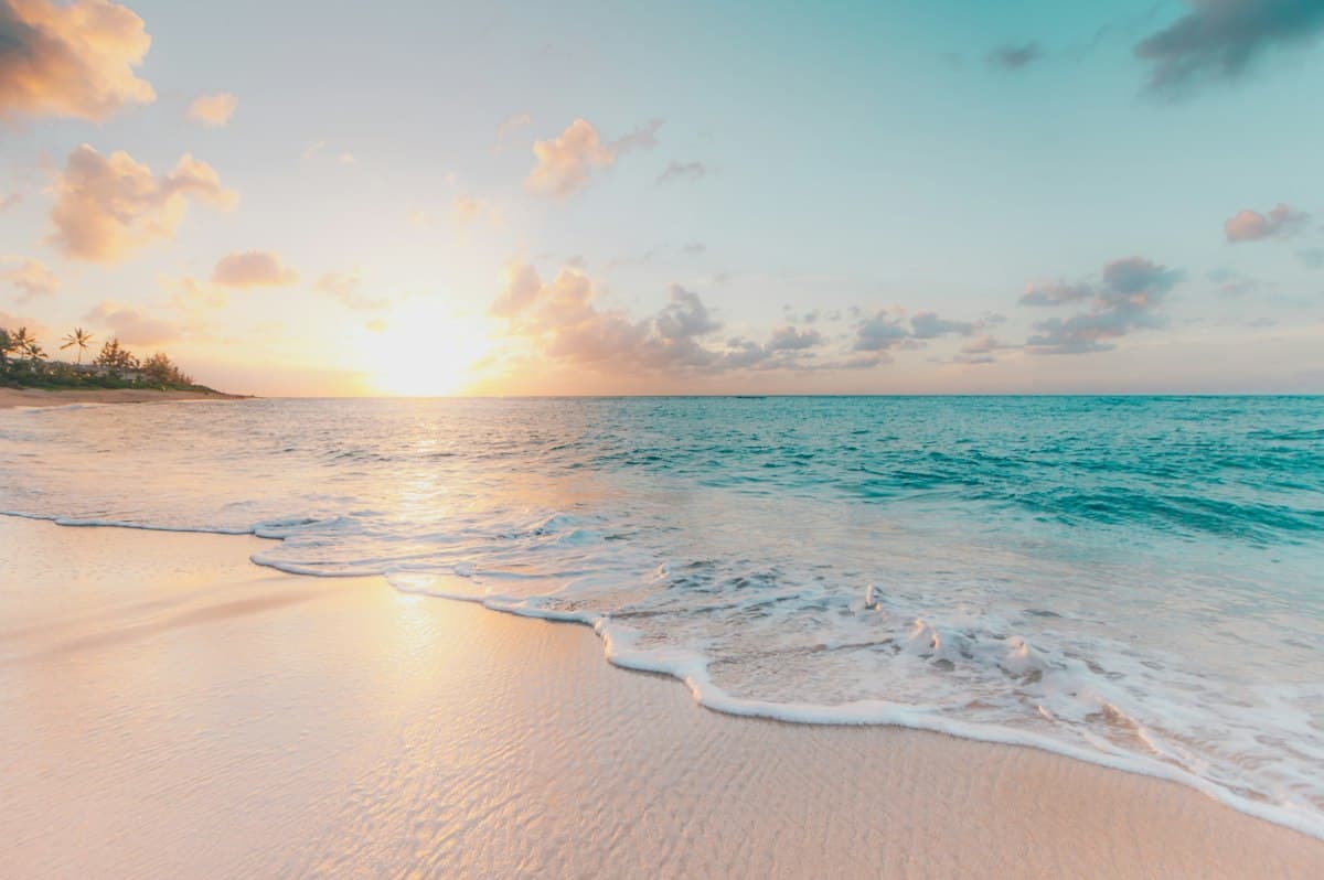 When to Visit Sri Lanka: A Dual-Monsoon Guide